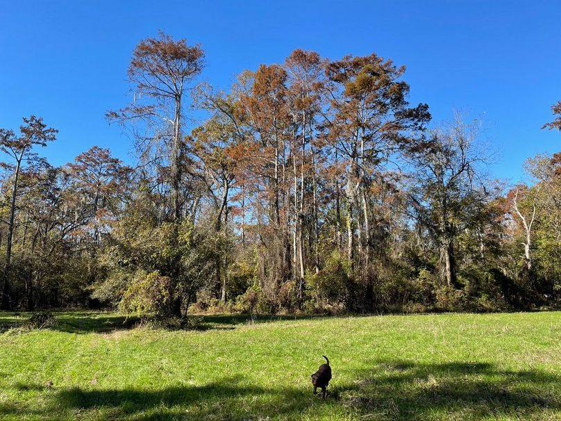 7381F619-0867-4A8F-A84E-C41DFB6C7EBA_1_105_c