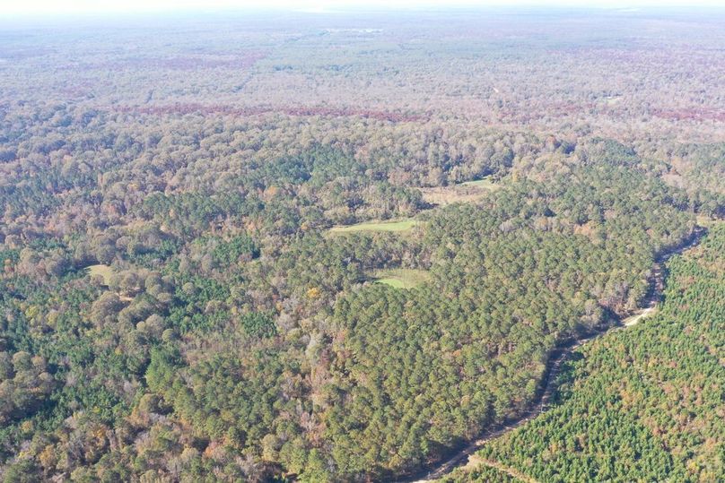 2A50C7B1-D69A-460D-A057-FC4F57461E98_1_105_c