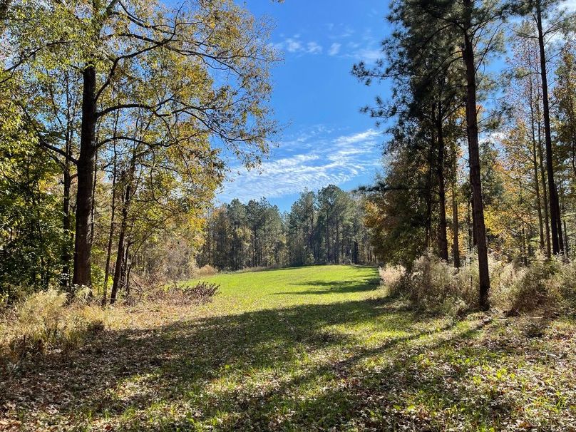 C164BF52-866D-4E43-B1A5-3940A3AA72D2_1_105_c