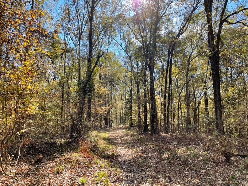 F1994B1D-7461-409D-A7E0-248E306A6F23_1_105_c