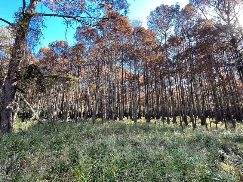 D33E1F3E-BC7F-439A-8D29-FAE7B96C283A_1_105_c