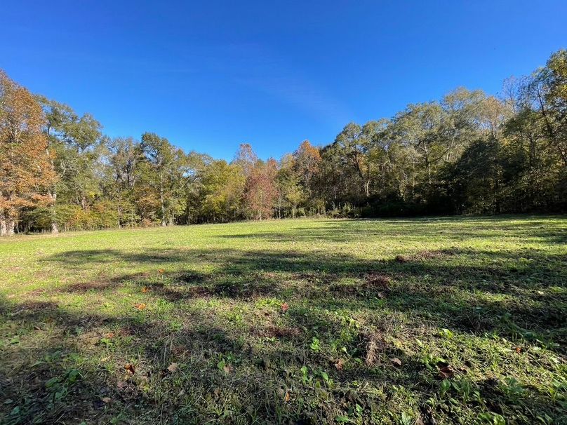 CE512141-C94D-4FE1-B345-F791E58DA8B0_1_105_c