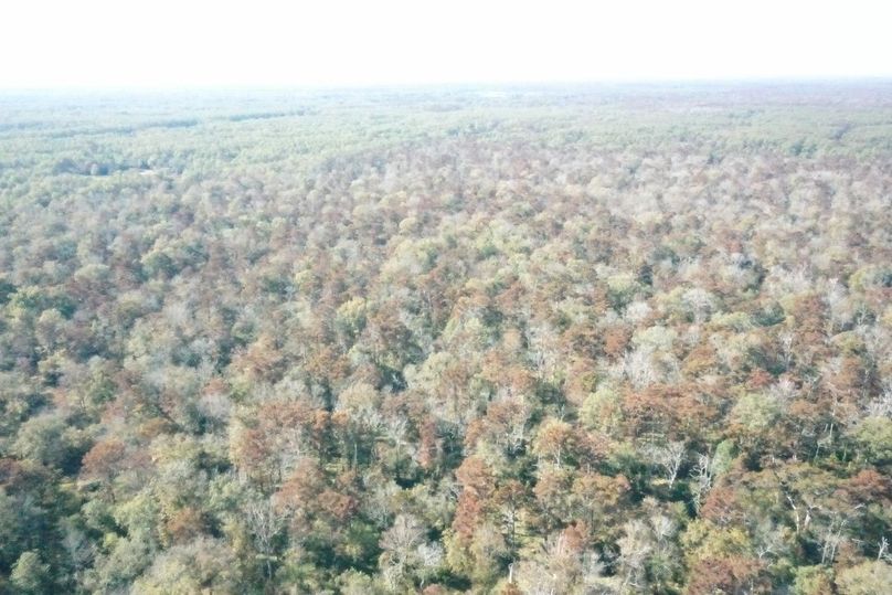 0C358BC7-995E-45BD-916F-10C3B1B22E17_1_105_c