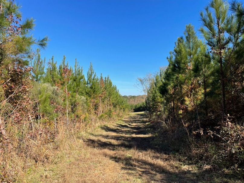 46EAC438-AF8E-473B-B629-9D5D2A441DE0_1_105_c