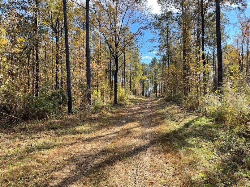 8BD16274-ECFE-44FA-97A5-195AB8A5B79D_1_105_c