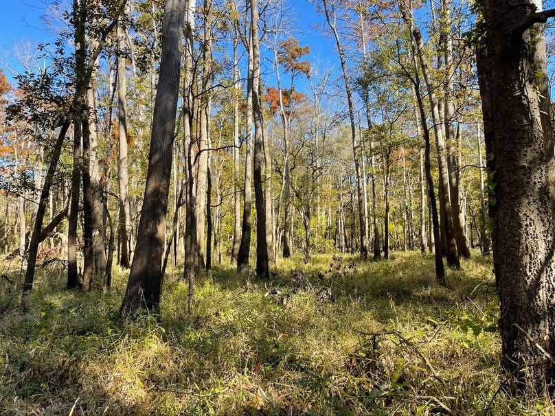 4CC2926D-0D08-4026-BFDB-8B16EE15261B_1_105_c