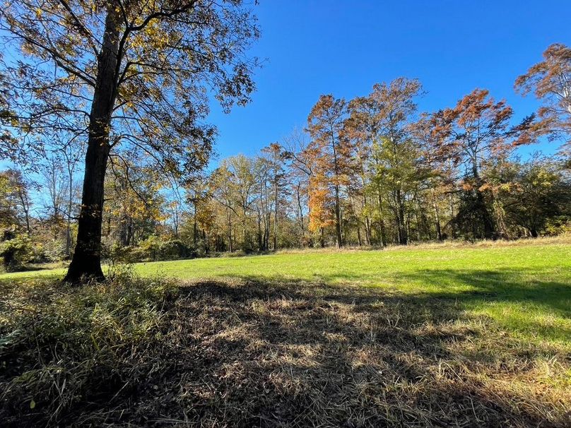 74004432-D243-4F18-BFC7-3C5DC1548A25_1_105_c