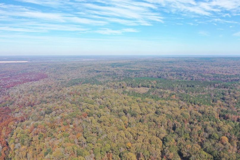 10657BD6-EFAC-478C-8537-54714503B9D0_1_105_c