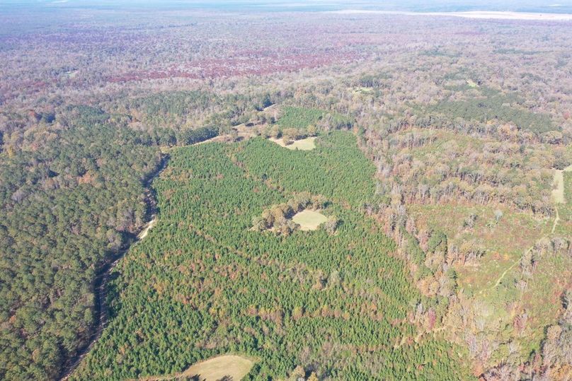 3FAB5B3B-113F-4C1D-B678-66F88E7931BB_1_105_c