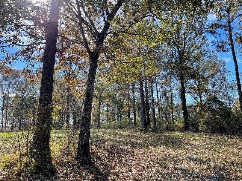 31D59CCD-592C-4106-8AE5-BB7B200FE55E_1_105_c