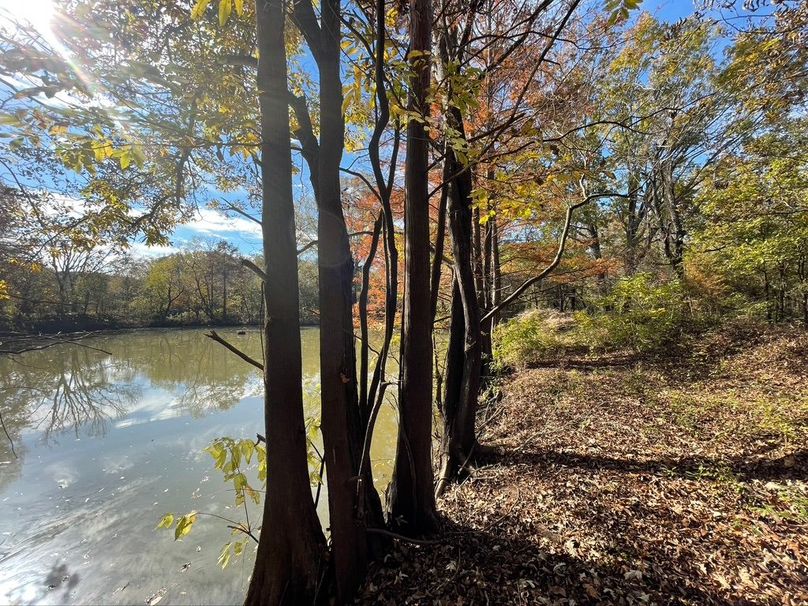 41D9CB21-1303-410B-BDB7-782E7AE1CA44_1_105_c