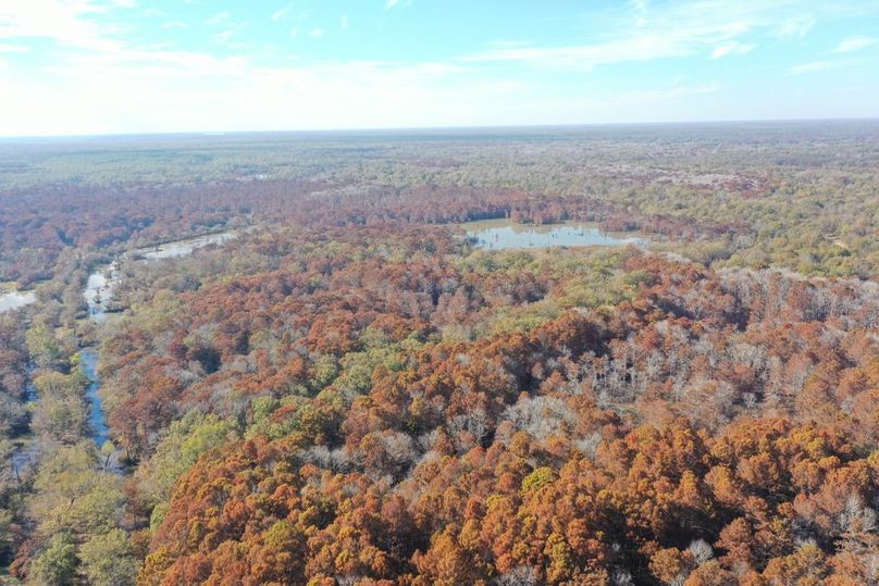 149F8C89-2A84-452D-9A62-4B66B0356C4A_1_105_c