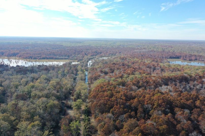 36BDB6A6-3F23-4455-A064-79435BF237E6_1_105_c