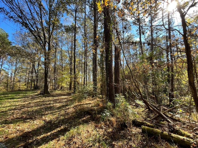 A0878B9C-D546-4518-A886-205DB46737CA_1_105_c