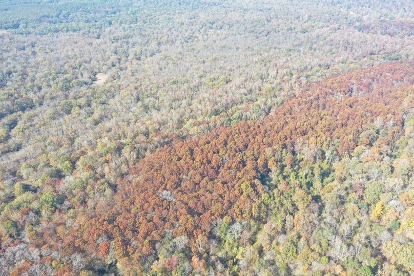 BAEDBB7F-4587-44DD-A6F9-9221F22E748D_1_105_c