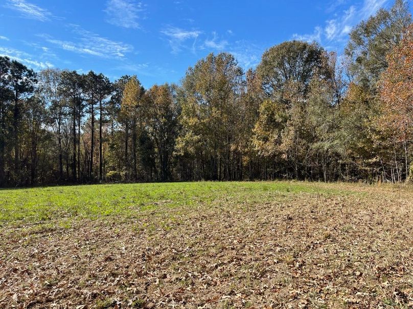 6D392B94-5E18-4330-8E17-FDAFFEFCBD9A_1_105_c