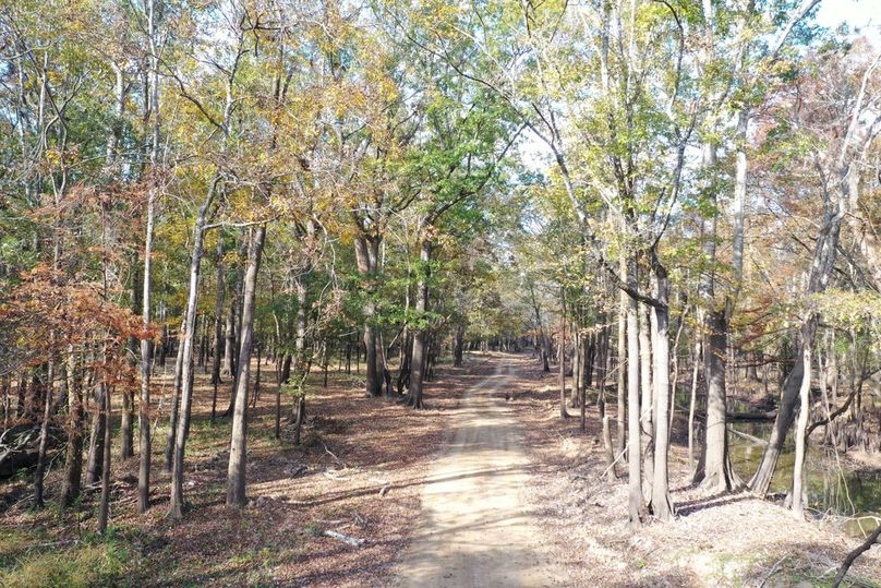 EE24E52D-B013-4BD4-BB6E-5B3025EDBF6D_1_105_c