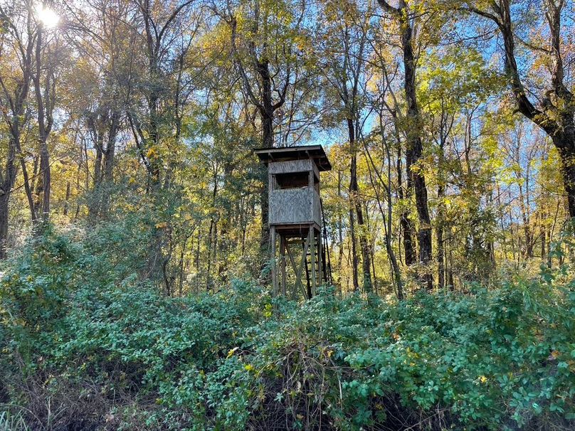 EACACF58-E2AB-4F3E-BC0F-531C9E6F71AE_1_105_c