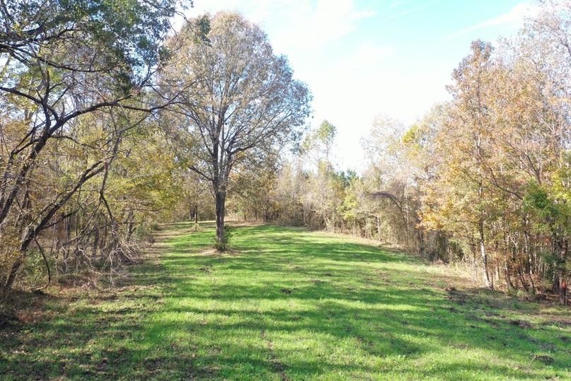 02FF5728-C220-41F6-8204-33927A43483E_1_105_c