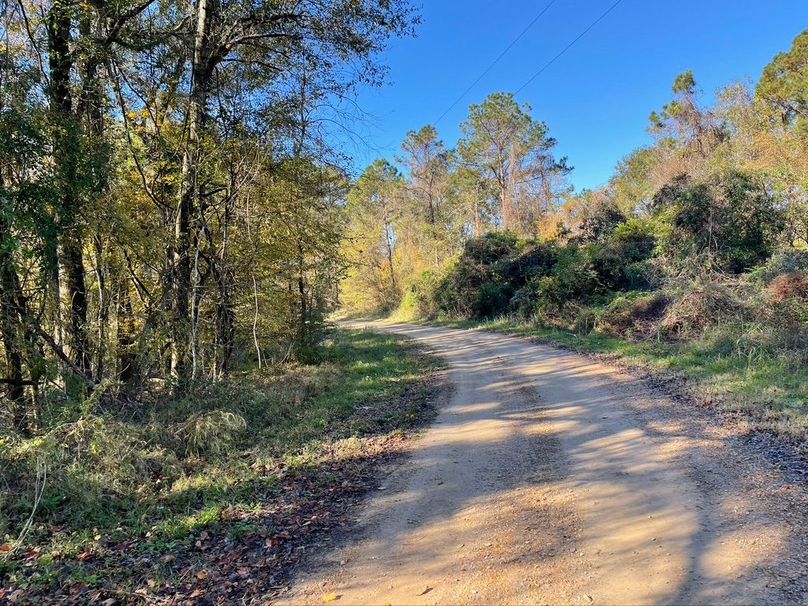 1B20867B-CB1F-44C6-9BE8-13A7E94DF90D_1_105_c