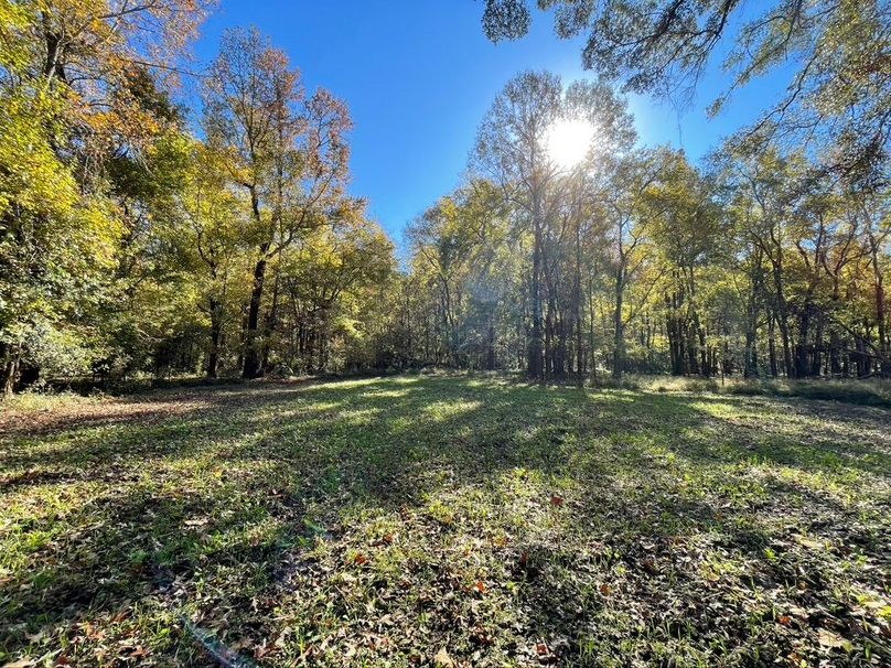 BD6ADD40-A458-4B44-881E-C687AD7D1245_1_105_c