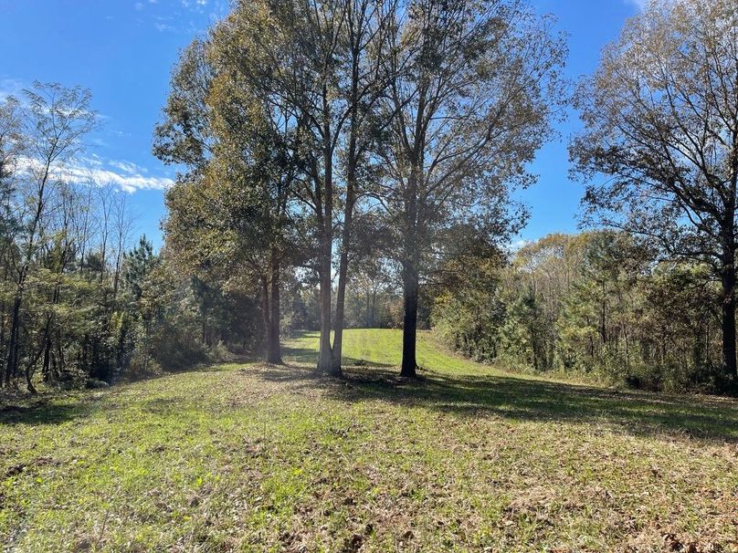 BD5C5162-CBDE-4520-9D93-B99F0A3ACE6B_1_105_c