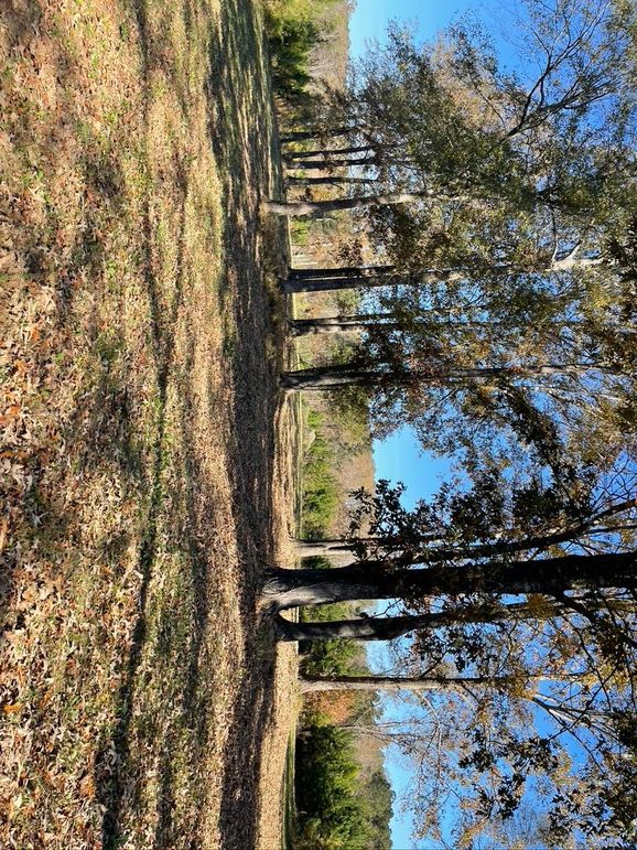 B2EA0080-E921-4B18-A0EF-54DA2FEED855_1_105_c