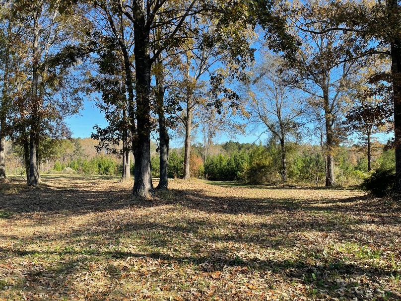 74DC34B6-A335-4EB6-AAED-4830F1607627_1_105_c