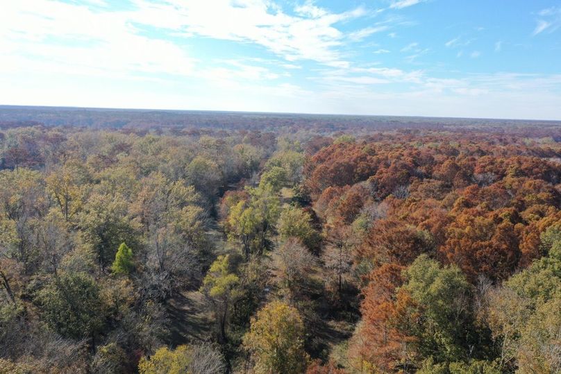 BEF58F39-0186-45DA-8432-CAA5C06679B4_1_105_c