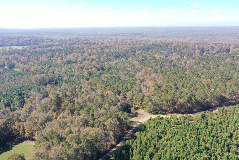 233EC8B8-89CE-460B-B5FB-54F091DCFD7B_1_105_c