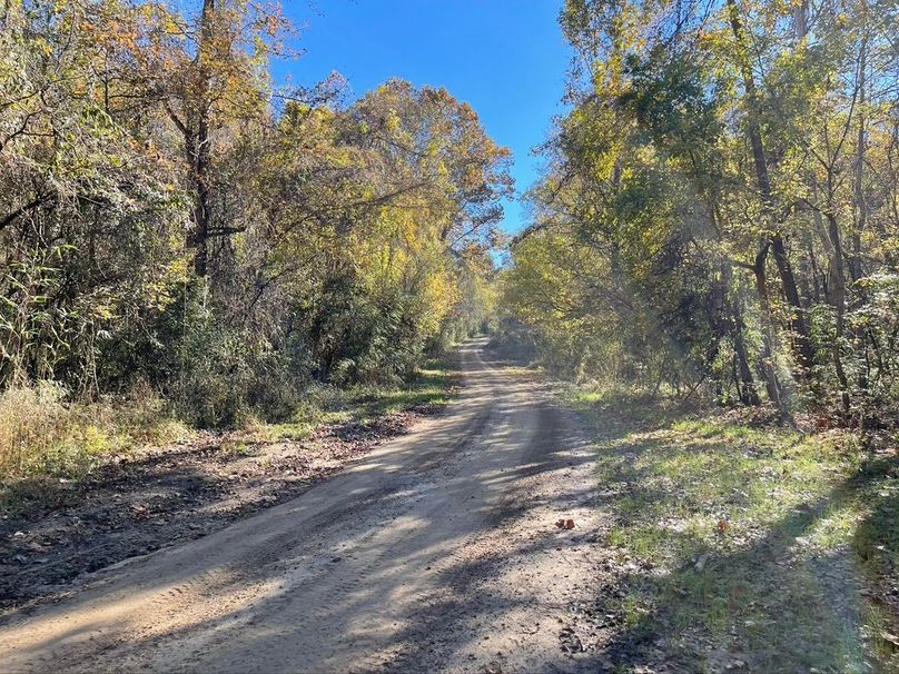 DC3A2759-1DFD-480A-8CA3-D346A565E8A1_1_105_c