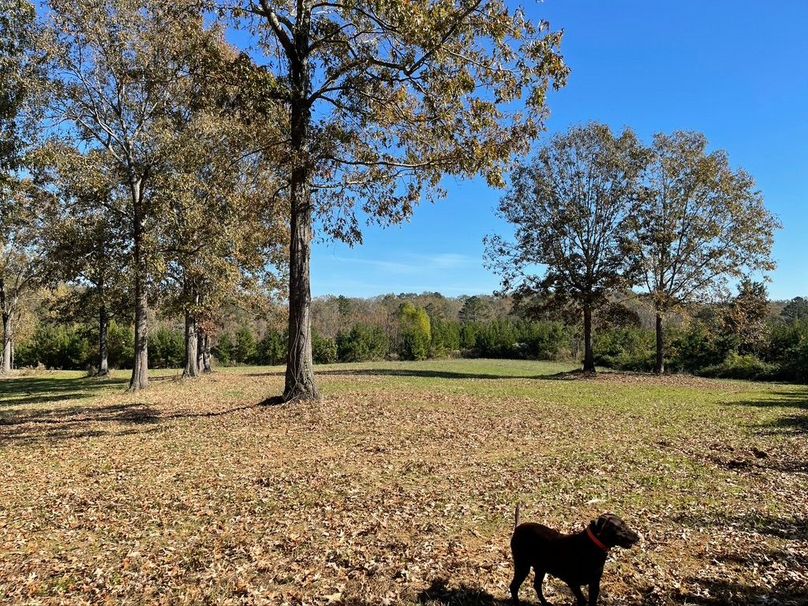 88793E06-A159-418C-BDA3-ECDE02500B78_1_105_c