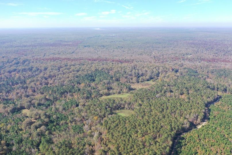 2A3E737D-9DC3-4DFC-979F-622C3F505FDF_1_105_c