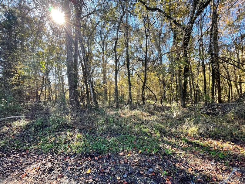 55662174-2F10-41A5-A01D-81F30FD4B8FE_1_105_c