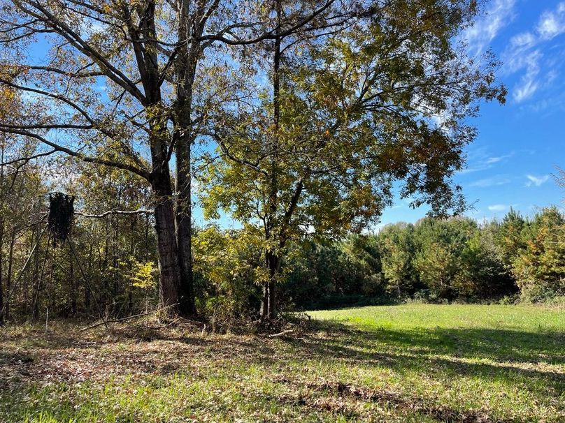 0FCFE5C0-17BE-4DFA-A5B8-6B550559A746_1_105_c