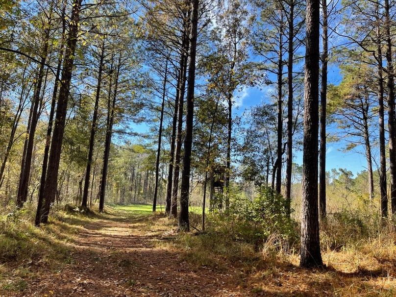 0A2B3A32-D5EE-41F8-A2E0-9BA864854EA0_1_105_c