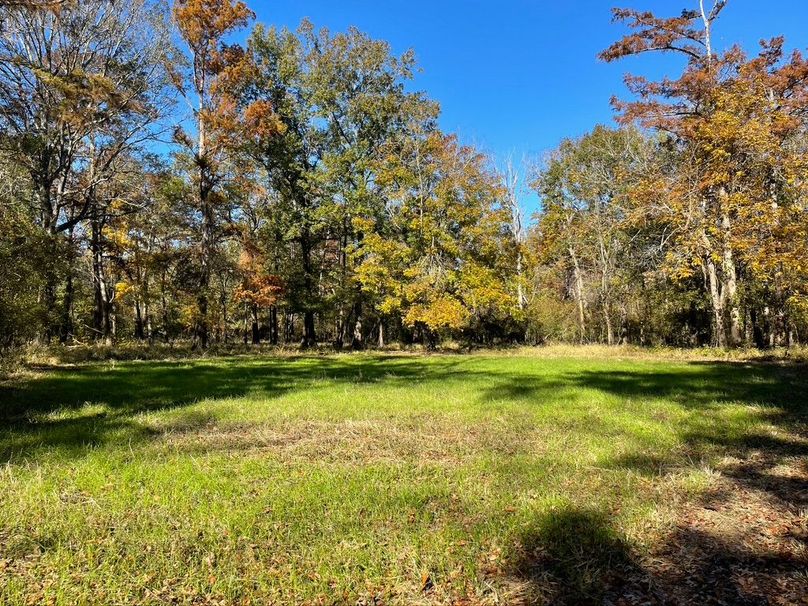 F36D51F8-A00F-44AF-9D00-8BCAFEB51A9D_1_105_c