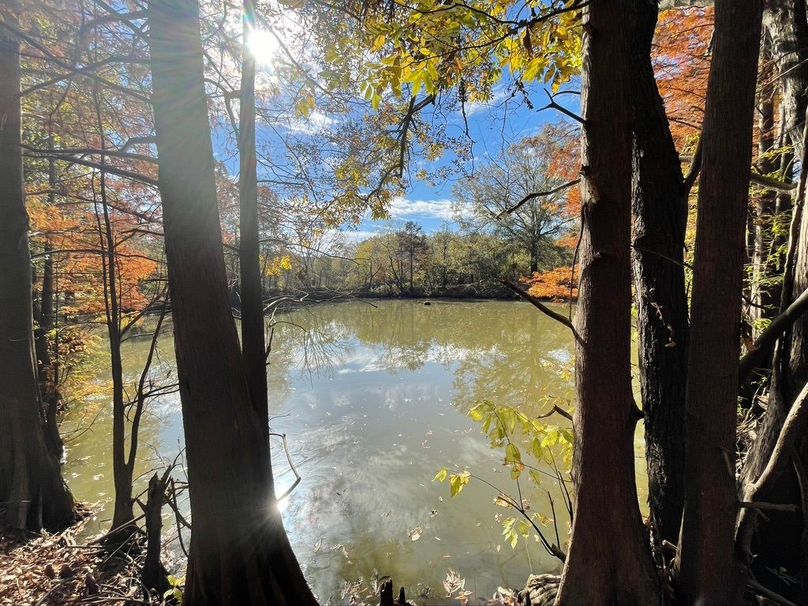 B72EC921-38AA-49D5-A53B-FDAACC8B519B_1_105_c