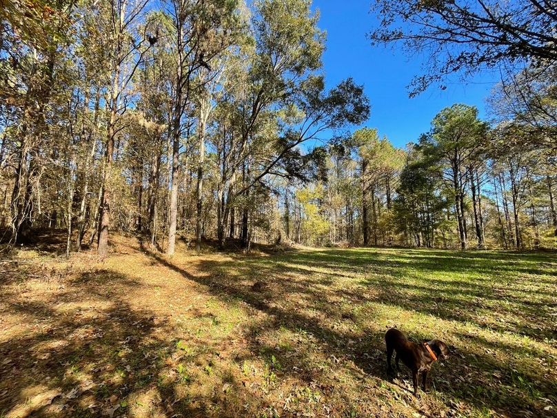 E378236C-8B4E-4946-8685-559A82463545_1_105_c