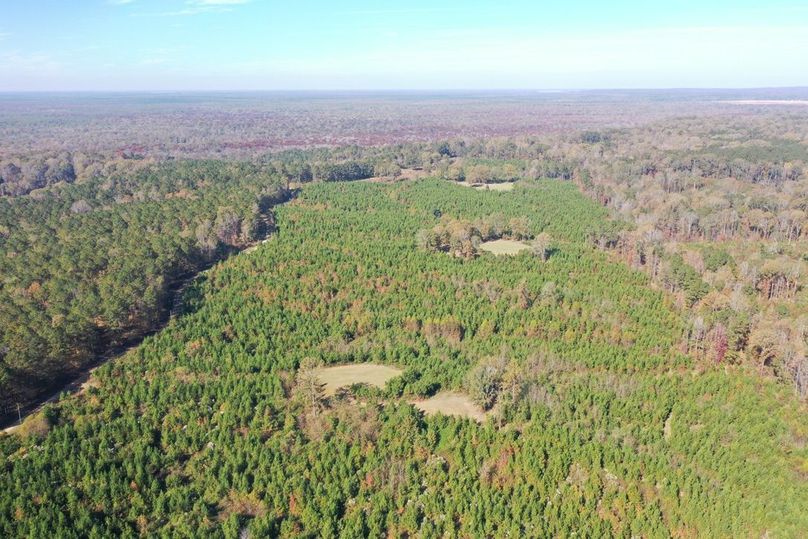 4BCEDCD0-1D8B-4E83-842F-148AC62DA21C_1_105_c