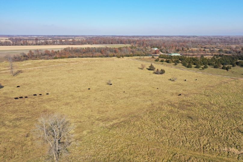 DJI_0583