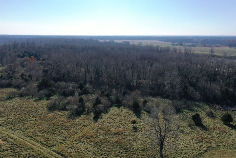DJI_0580