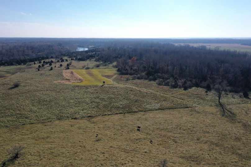 DJI_0594