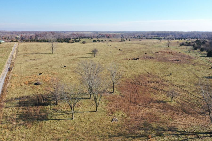 DJI_0576