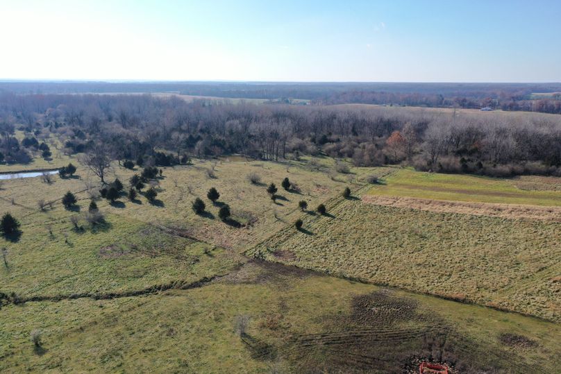 DJI_0590