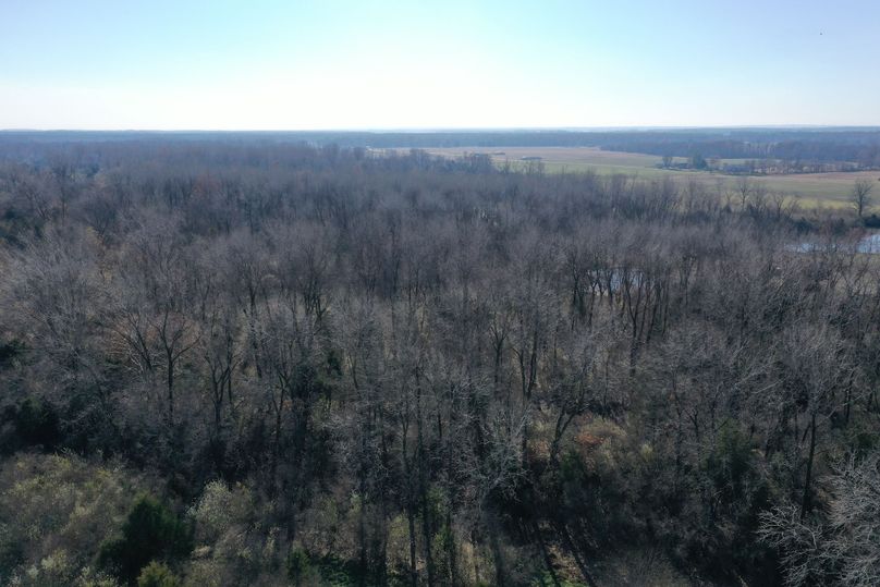 DJI_0581