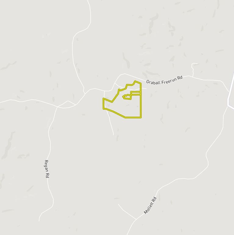 Screen Shot 2021-12-07 at 7.33.25 PM