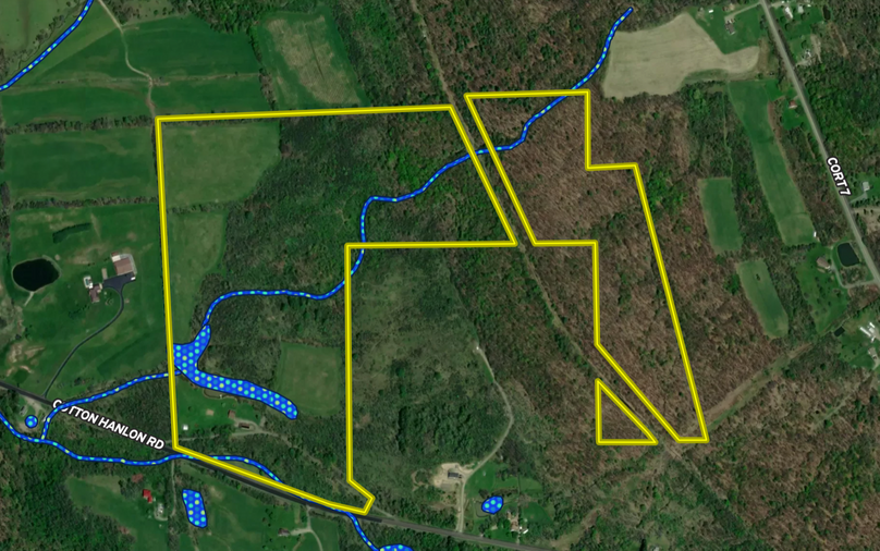 Schuyler_89.13_Mehta_MapRight_3