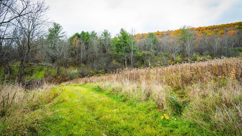 Schuyler_89.13_Mehta_Photos_66