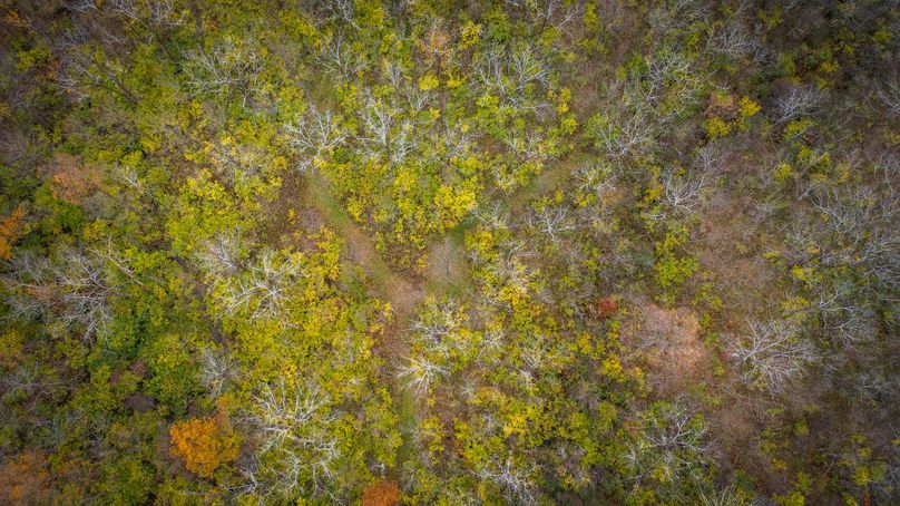 Schuyler_89.13_Mehta_Photos_52